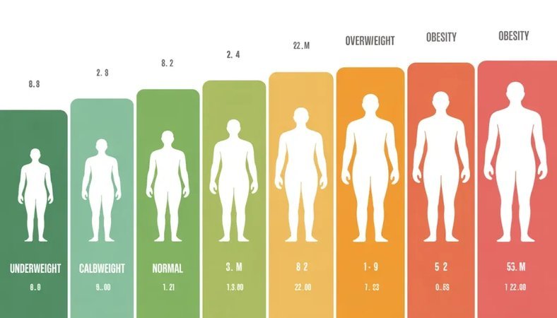 BMI 27: The Magic Number That Isn't Magic